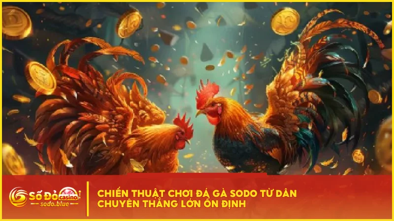 Chiến thuật chơi đá gà SODO từ dân chuyên thắng lớn ổn định