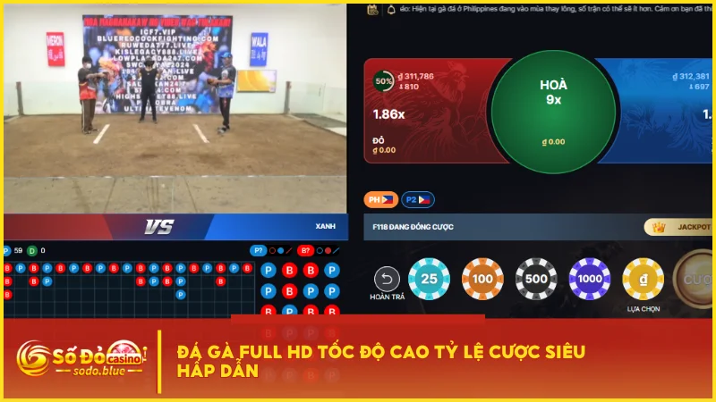 Đá gà Full HD tốc độ cao tỷ lệ cược siêu hấp dẫn