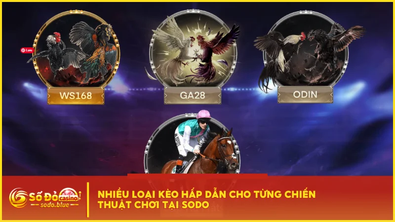 Nhiều loại kèo hấp dẫn cho từng chiến thuật chơi tại SODO