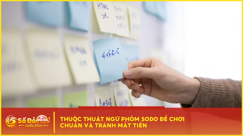 Thuộc thuật ngữ Phỏm SODO để chơi chuẩn và tránh mất tiền