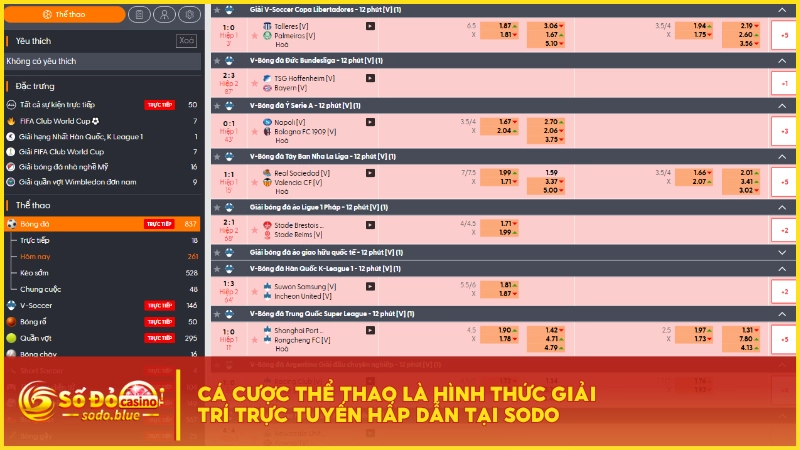 Cá cược thể thao là hình thức giải trí trực tuyến hấp dẫn tại SODO