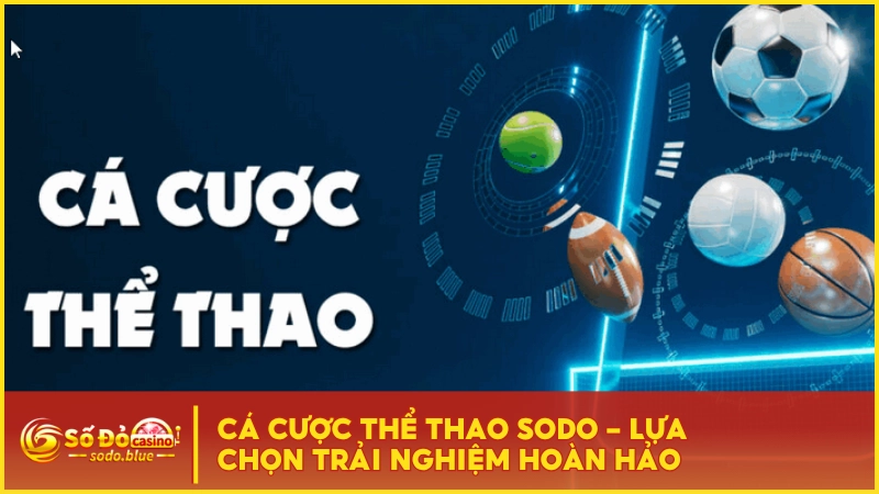 Cá Cược Thể Thao SODO - Lựa Chọn Trải Nghiệm Hoàn Hảo