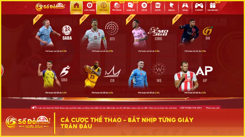 Sodo mang đến một hệ sinh thái cá độ thể thao quy mô lớn