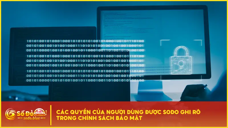 Mọi người chơi đều có quyền kiểm soát thông tin cá nhân và dữ liệu tài khoản 
