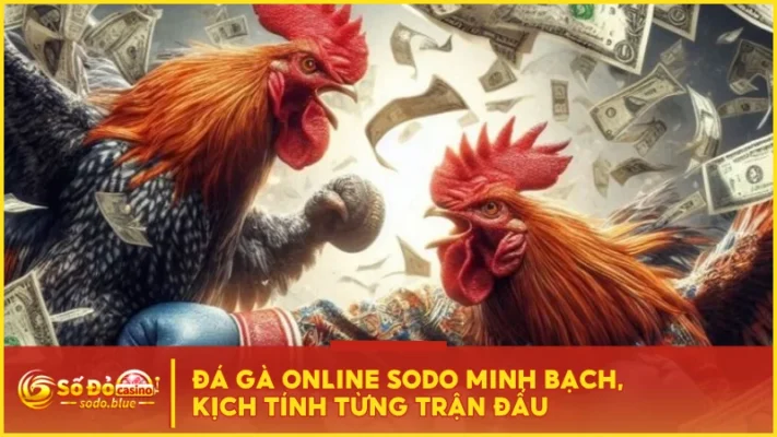 Đá Gà Online SODO Minh Bạch, Kịch Tính Từng Trận Đấu