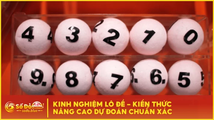 Kinh Nghiệm Lô Đề - Kiến Thức Nâng Cao Dự Đoán Chuẩn Xác