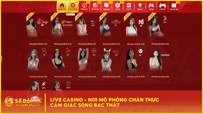 Sodo hiện đang hợp tác với hơn 15 nhà cung cấp casino hàng đầu