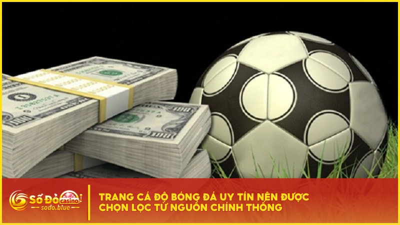 Trang cá độ bóng đá uy tín nên được chọn lọc từ nguồn chính thống