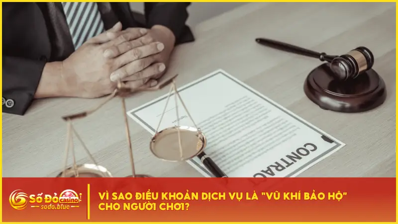 Điều khoản dịch vụ tại Sodo đóng vai trò như một chiếc “khiên” bảo vệ game thủ 