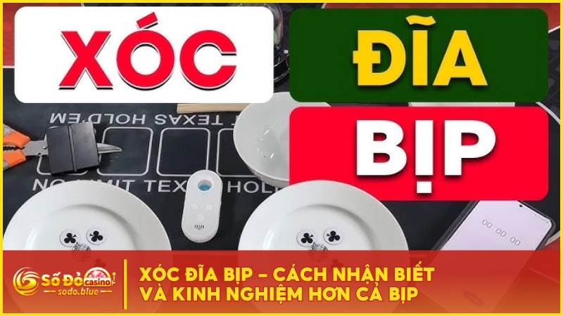 Xóc Đĩa Bịp - Cách Nhận Biết Và Kinh Nghiệm Hơn Cả Bịp